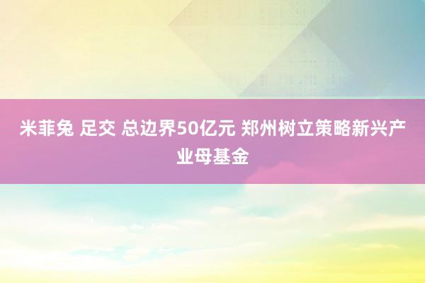 米菲兔 足交 总边界50亿元 郑州树立策略新兴产业母基金