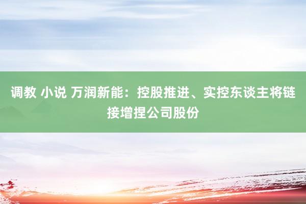 调教 小说 万润新能：控股推进、实控东谈主将链接增捏公司股份