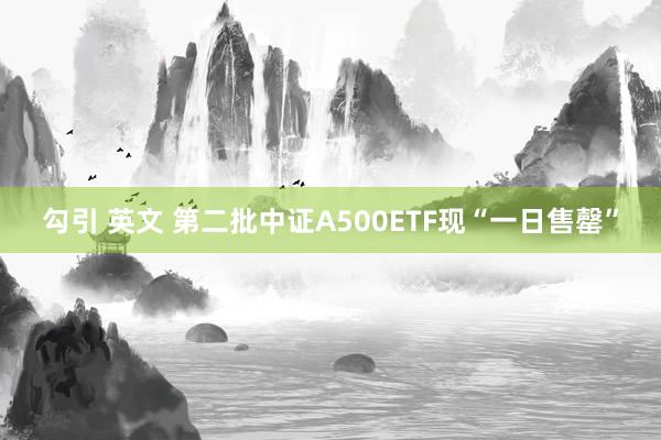 勾引 英文 第二批中证A500ETF现“一日售罄”