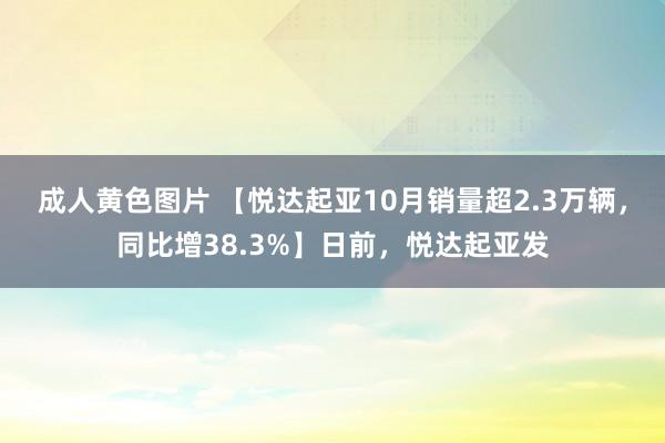 成人黄色图片 【悦达起亚10月销量超2.3万辆，同比增38.3%】日前，悦达起亚发