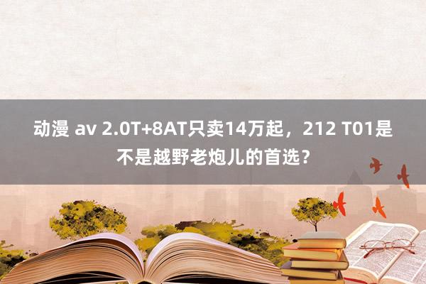 动漫 av 2.0T+8AT只卖14万起，212 T01是不是越野老炮儿的首选？