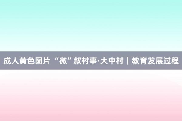 成人黄色图片 “微”叙村事·大中村｜教育发展过程