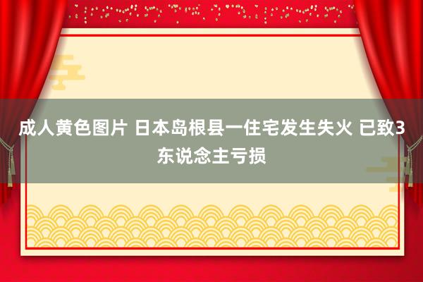 成人黄色图片 日本岛根县一住宅发生失火 已致3东说念主亏损