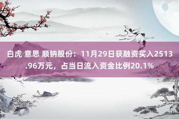 白虎 意思 顺钠股份：11月29日获融资买入2513.96万元，占当日流入资金比例20.1%