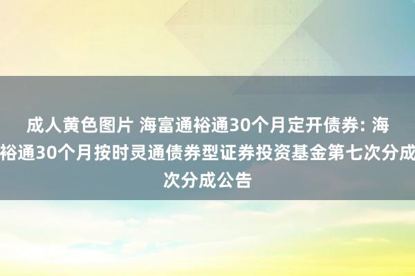 成人黄色图片 海富通裕通30个月定开债券: 海富通裕通30个月按时灵通债券型证券投资基金第七次分成公告