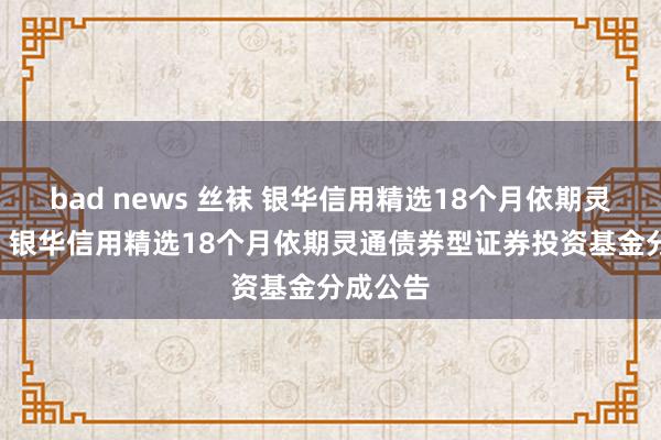 bad news 丝袜 银华信用精选18个月依期灵通债券: 银华信用精选18个月依期灵通债券型证券投资基金分成公告