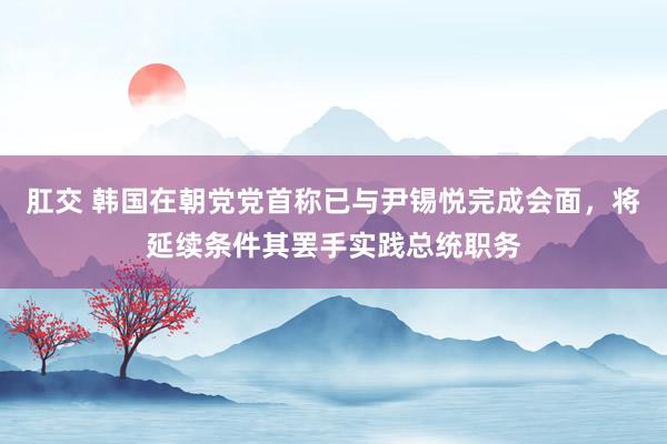 肛交 韩国在朝党党首称已与尹锡悦完成会面，将延续条件其罢手实践总统职务