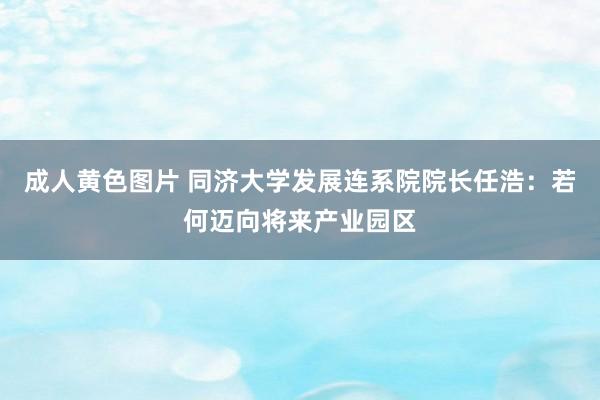 成人黄色图片 同济大学发展连系院院长任浩：若何迈向将来产业园区