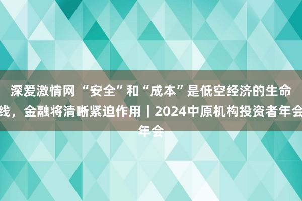 深爱激情网 “安全”和“成本”是低空经济的生命线，金融将清晰紧迫作用｜2024中原机构投资者年会