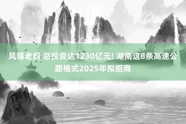 风骚老妈 总投资达1230亿元! 湖南这8条高速公路格式2025年拟招商