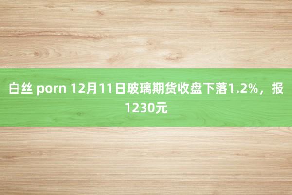 白丝 porn 12月11日玻璃期货收盘下落1.2%，报1230元