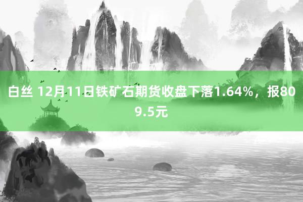 白丝 12月11日铁矿石期货收盘下落1.64%，报809.5元