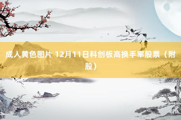 成人黄色图片 12月11日科创板高换手率股票（附股）