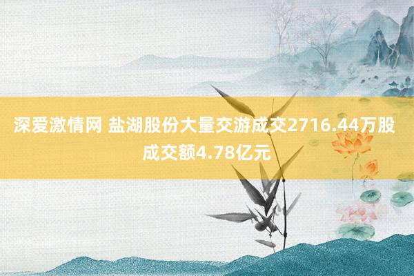 深爱激情网 盐湖股份大量交游成交2716.44万股 成交额4.78亿元