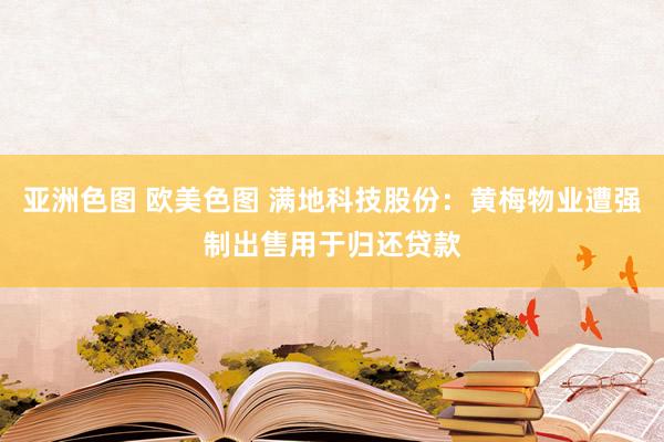 亚洲色图 欧美色图 满地科技股份：黄梅物业遭强制出售用于归还贷款