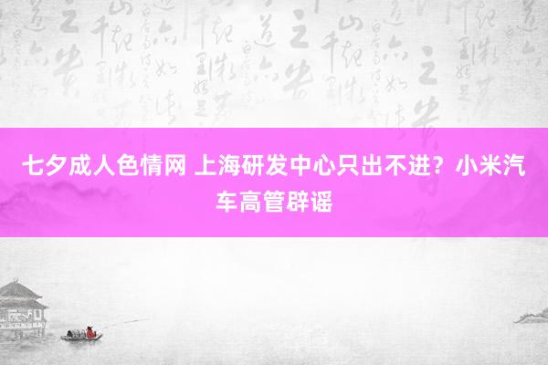 七夕成人色情网 上海研发中心只出不进？小米汽车高管辟谣