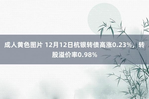 成人黄色图片 12月12日杭银转债高涨0.23%，转股溢价率0.98%