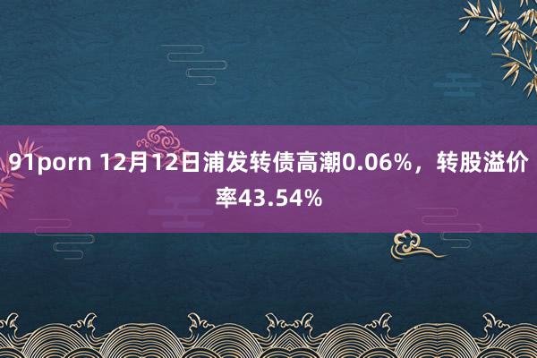 91porn 12月12日浦发转债高潮0.06%，转股溢价率43.54%