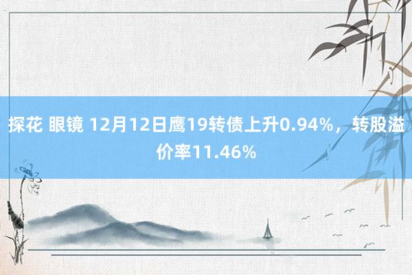 探花 眼镜 12月12日鹰19转债上升0.94%，转股溢价率11.46%