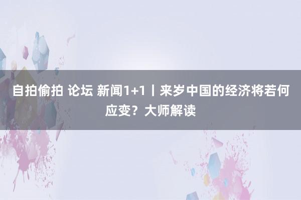 自拍偷拍 论坛 新闻1+1丨来岁中国的经济将若何应变？大师解读