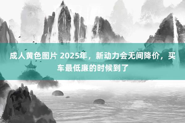 成人黄色图片 2025年，新动力会无间降价，买车最低廉的时候到了