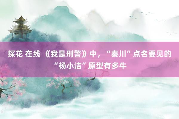 探花 在线 《我是刑警》中，“秦川”点名要见的“杨小洁”原型有多牛