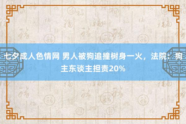 七夕成人色情网 男人被狗追撞树身一火，法院：狗主东谈主担责20%