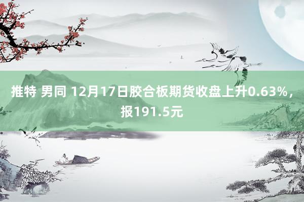 推特 男同 12月17日胶合板期货收盘上升0.63%，报191.5元