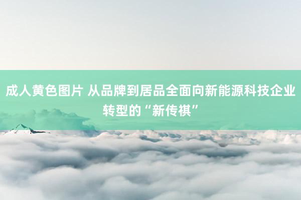 成人黄色图片 从品牌到居品全面向新能源科技企业转型的“新传祺”