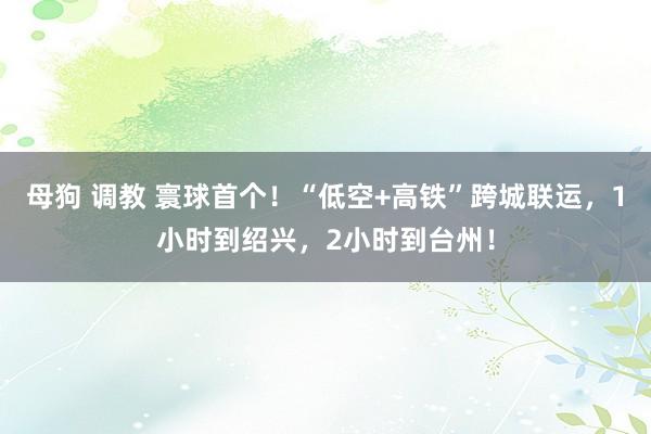 母狗 调教 寰球首个！“低空+高铁”跨城联运，1小时到绍兴，2小时到台州！