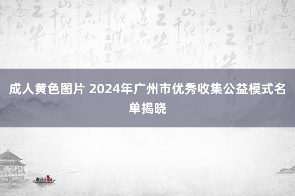 成人黄色图片 2024年广州市优秀收集公益模式名单揭晓