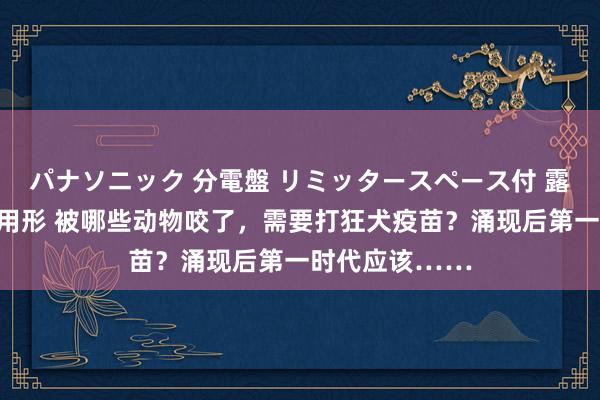 パナソニック 分電盤 リミッタースペース付 露出・半埋込両用形 被哪些动物咬了，需要打狂犬疫苗？涌现后第一时代应该……