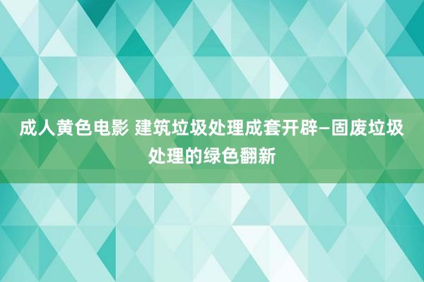 成人黄色电影 建筑垃圾处理成套开辟—固废垃圾处理的绿色翻新