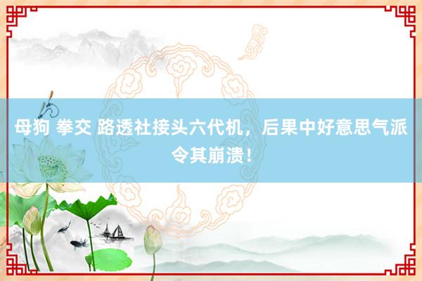 母狗 拳交 路透社接头六代机，后果中好意思气派令其崩溃！