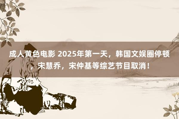 成人黄色电影 2025年第一天，韩国文娱圈停顿，宋慧乔，宋仲基等综艺节目取消！