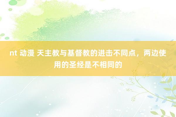 nt 动漫 天主教与基督教的进击不同点，两边使用的圣经是不相同的