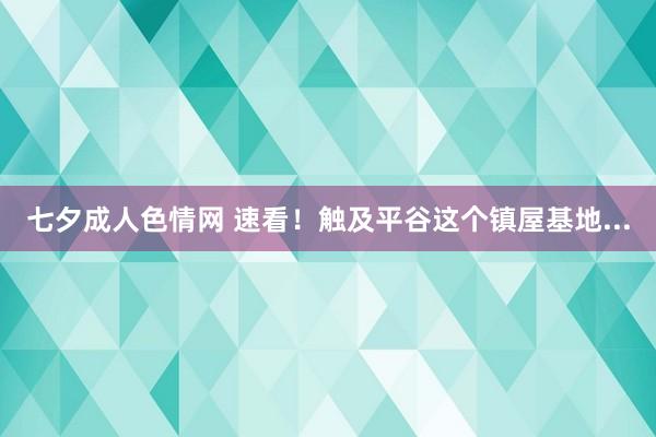 七夕成人色情网 速看！触及平谷这个镇屋基地...