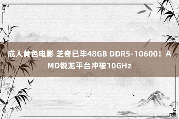 成人黄色电影 芝奇已毕48GB DDR5-10600！AMD锐龙平台冲破10GHz