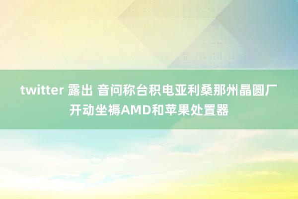 twitter 露出 音问称台积电亚利桑那州晶圆厂开动坐褥AMD和苹果处置器