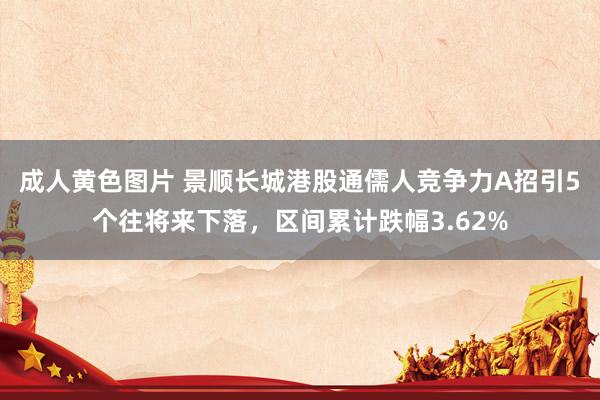 成人黄色图片 景顺长城港股通儒人竞争力A招引5个往将来下落，区间累计跌幅3.62%