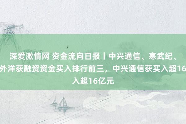 深爱激情网 资金流向日报丨中兴通信、寒武纪、中芯外洋获融资资金买入排行前三，中兴通信获买入超16亿元