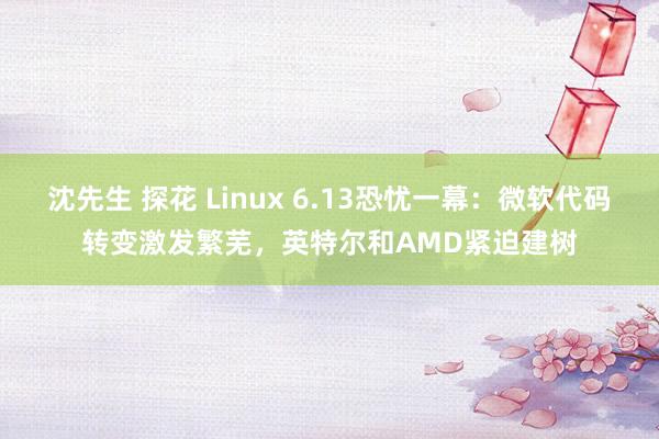 沈先生 探花 Linux 6.13恐忧一幕：微软代码转变激发繁芜，英特尔和AMD紧迫建树