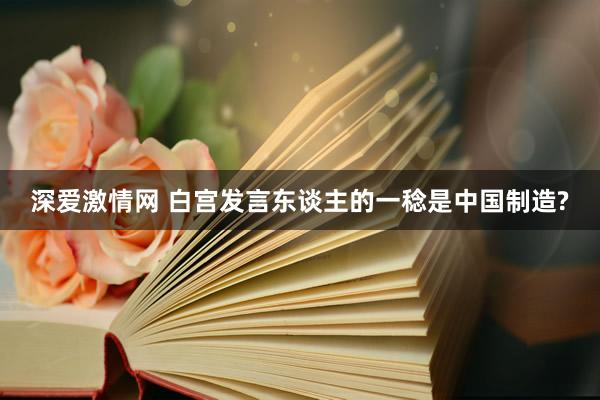 深爱激情网 白宫发言东谈主的一稔是中国制造?