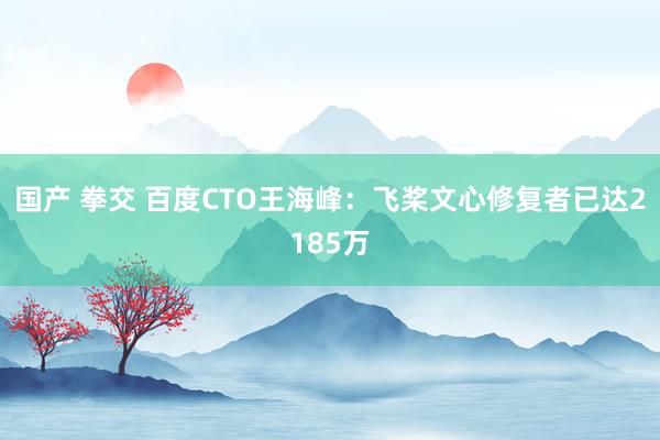 国产 拳交 百度CTO王海峰：飞桨文心修复者已达2185万